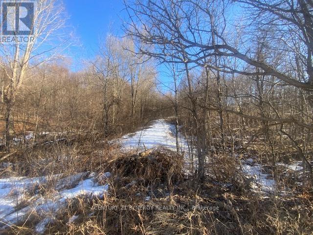 00 Lot 2 County10 Road Property Photo 4