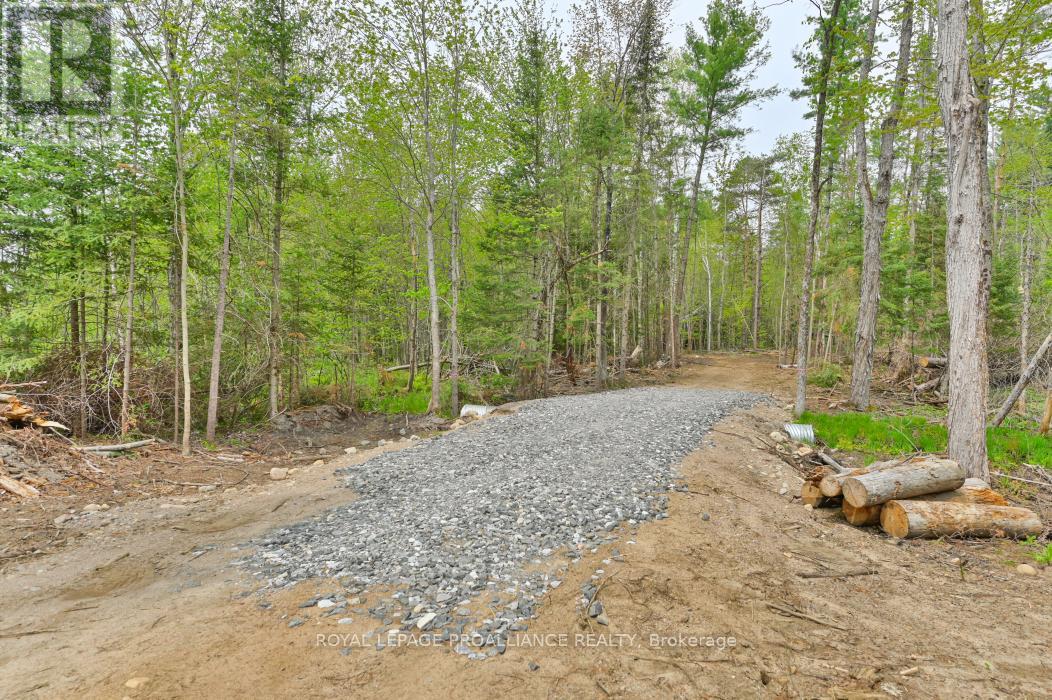 1031 Road 506 Property Photo 3