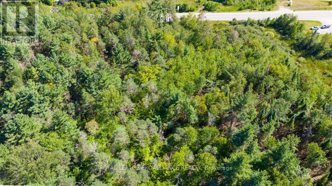 1031 Road 506 Property Photo 20