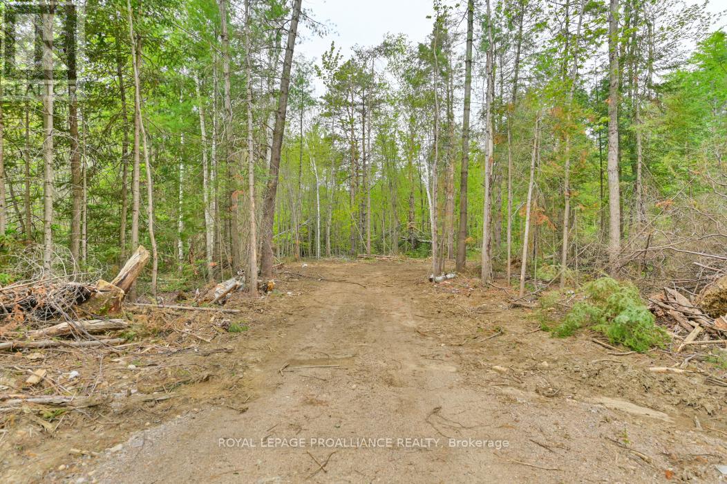 1031 Road 506 Property Photo 25