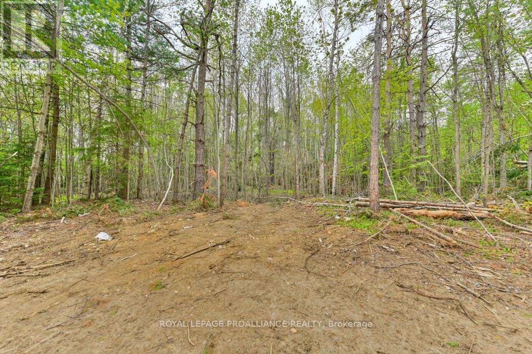 1031 Road 506 Property Photo 26