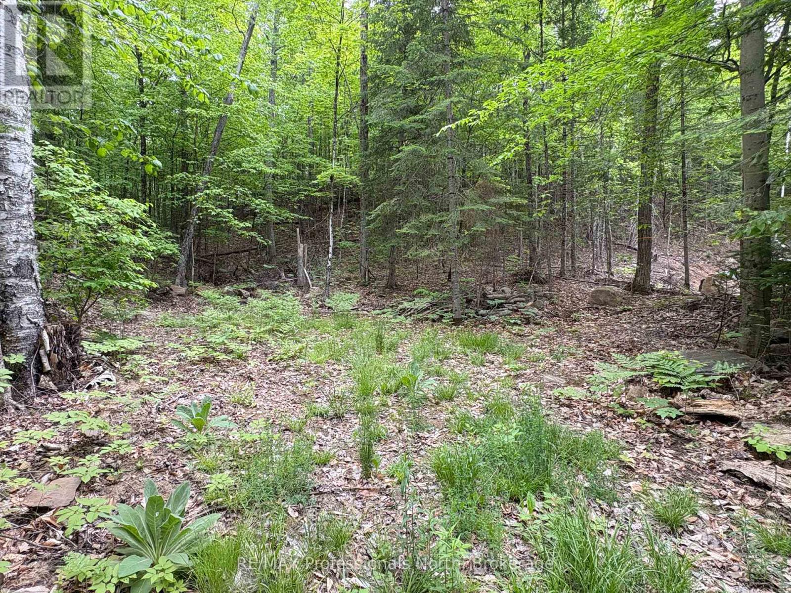 0 Poverty Bay Trail Property Photo 10