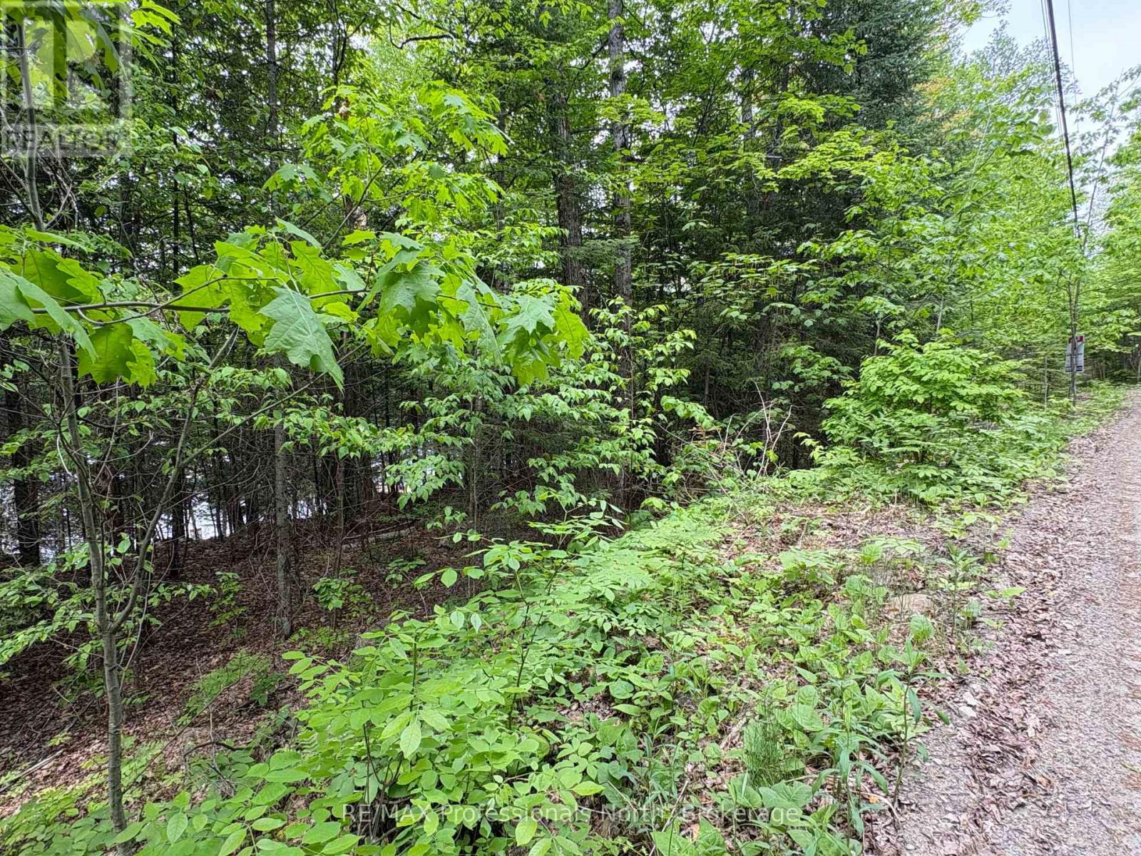 0 Poverty Bay Trail Property Photo 12