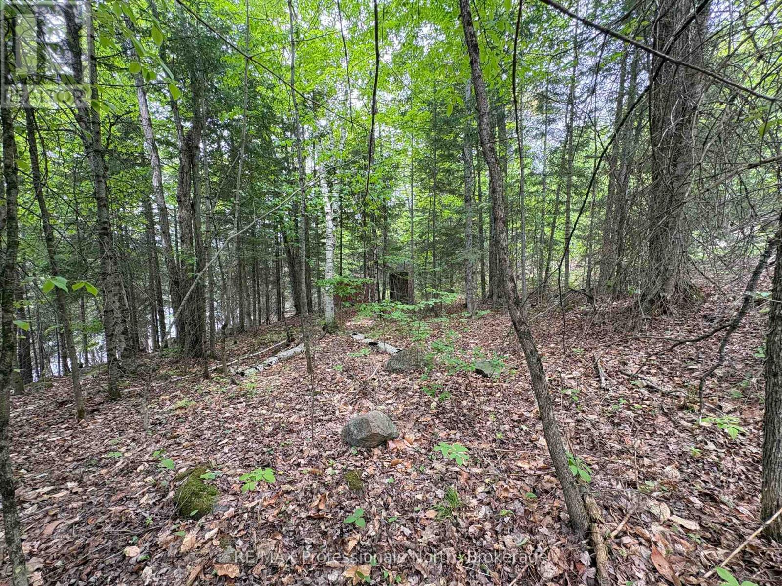 0 Poverty Bay Trail Property Photo 13