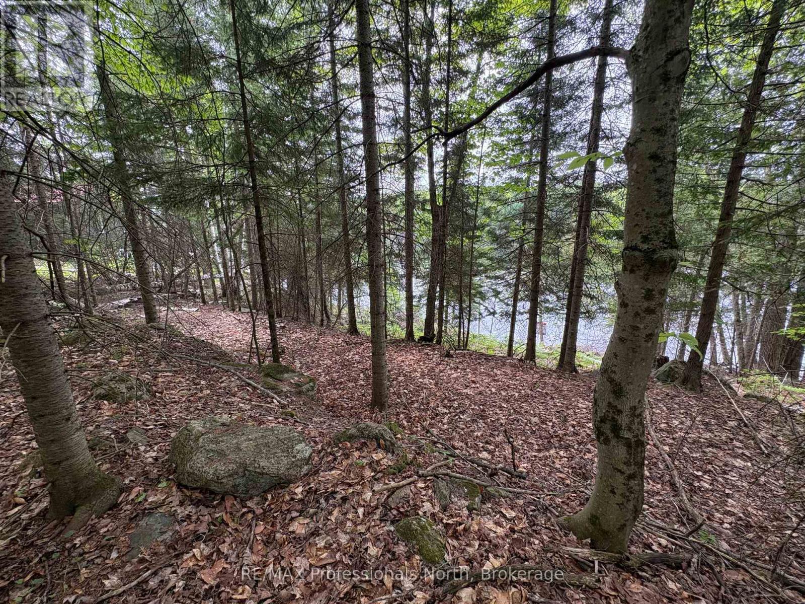 0 Poverty Bay Trail Property Photo 14