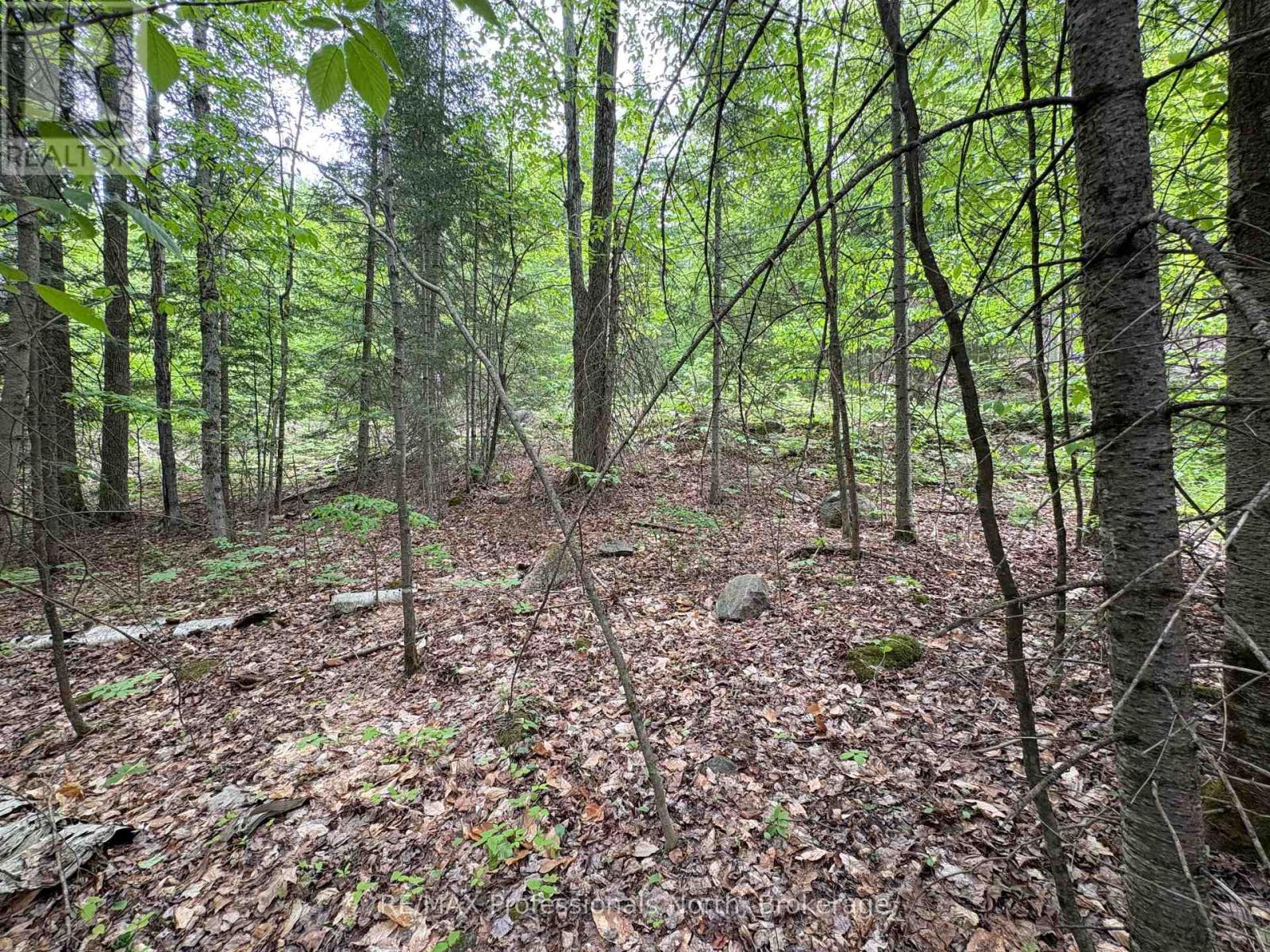 0 Poverty Bay Trail Property Photo 15