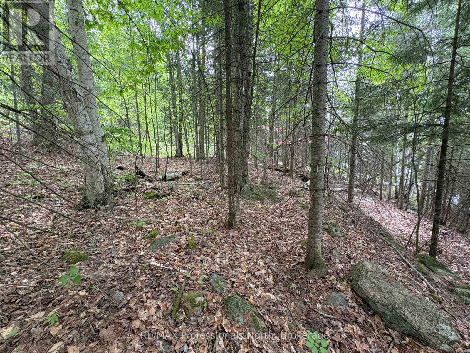 0 Poverty Bay Trail Property Photo 16