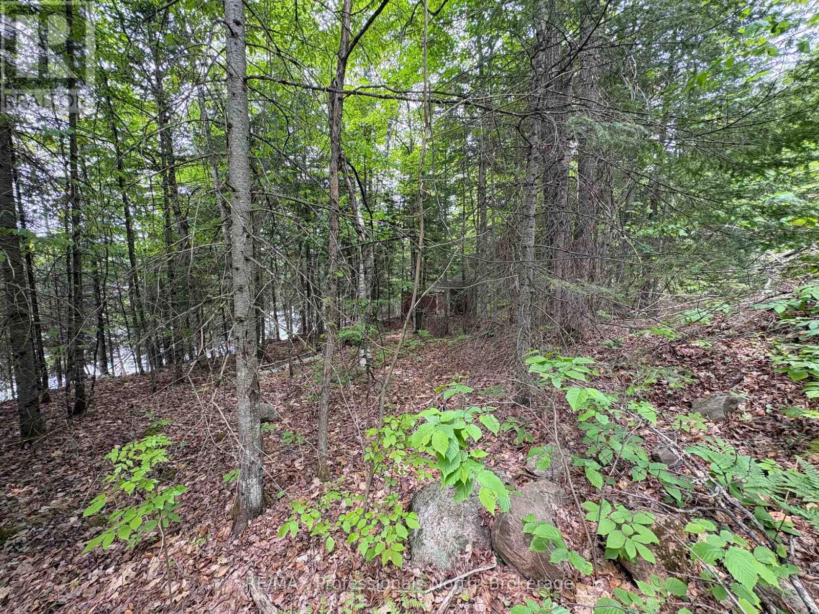 0 Poverty Bay Trail Property Photo 17