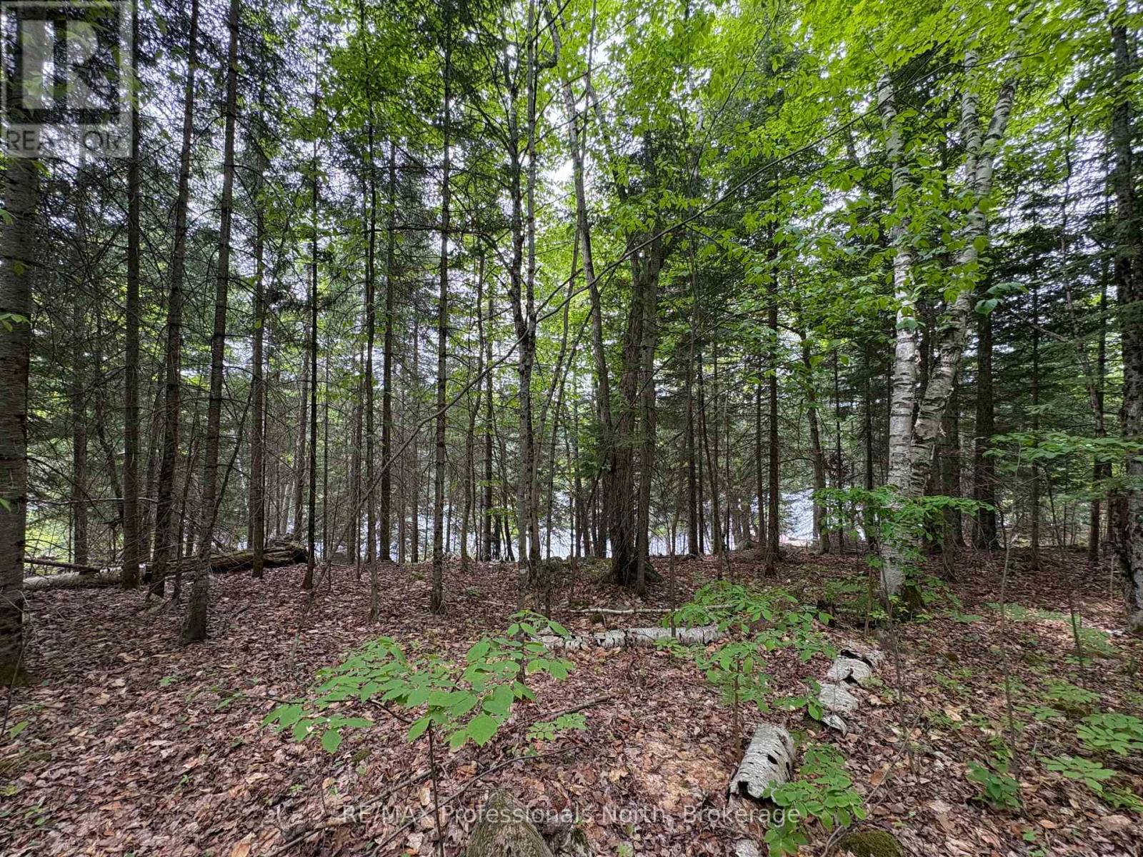 0 Poverty Bay Trail Property Photo 18