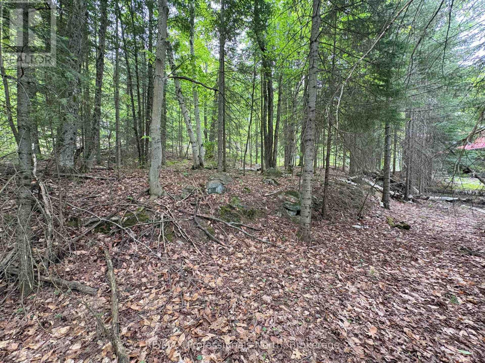 0 Poverty Bay Trail Property Photo 19