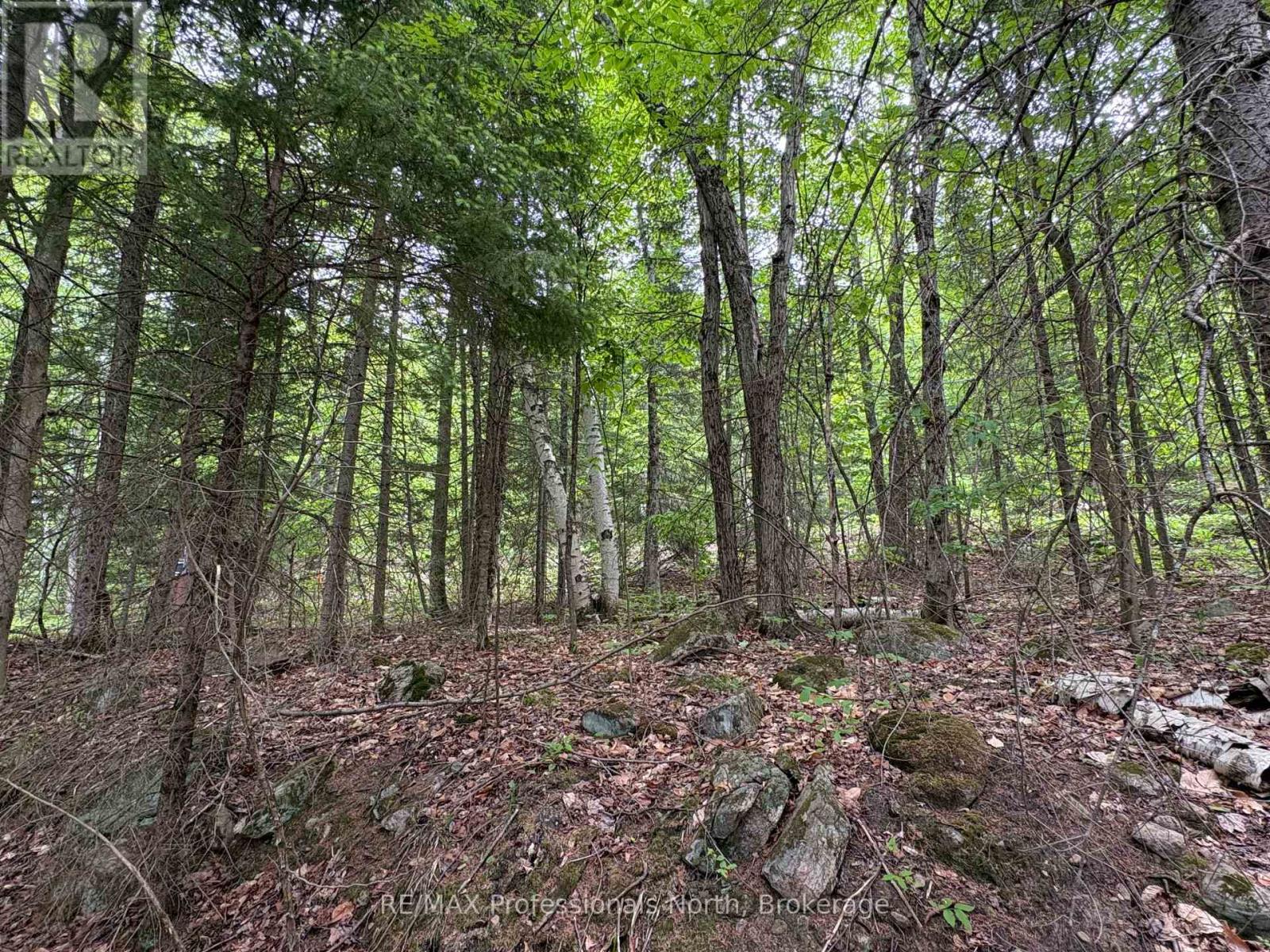 0 Poverty Bay Trail Property Photo 22