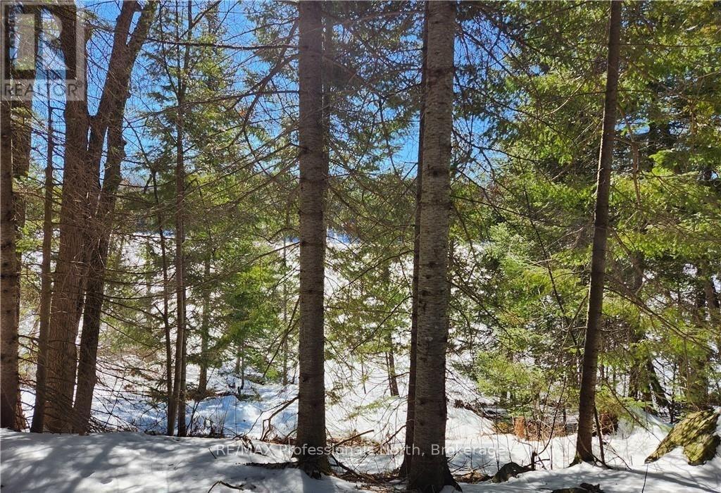 0 Poverty Bay Trail Property Photo 26