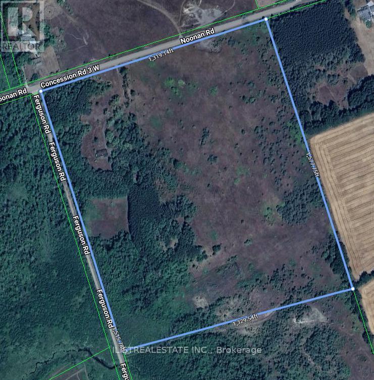 557 Noonan Road Property Photo 1