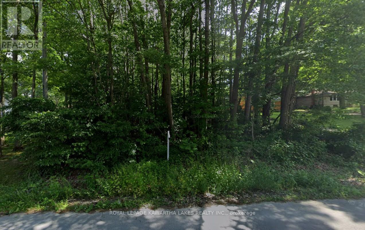 0 Poplar Drive Property Photo 3
