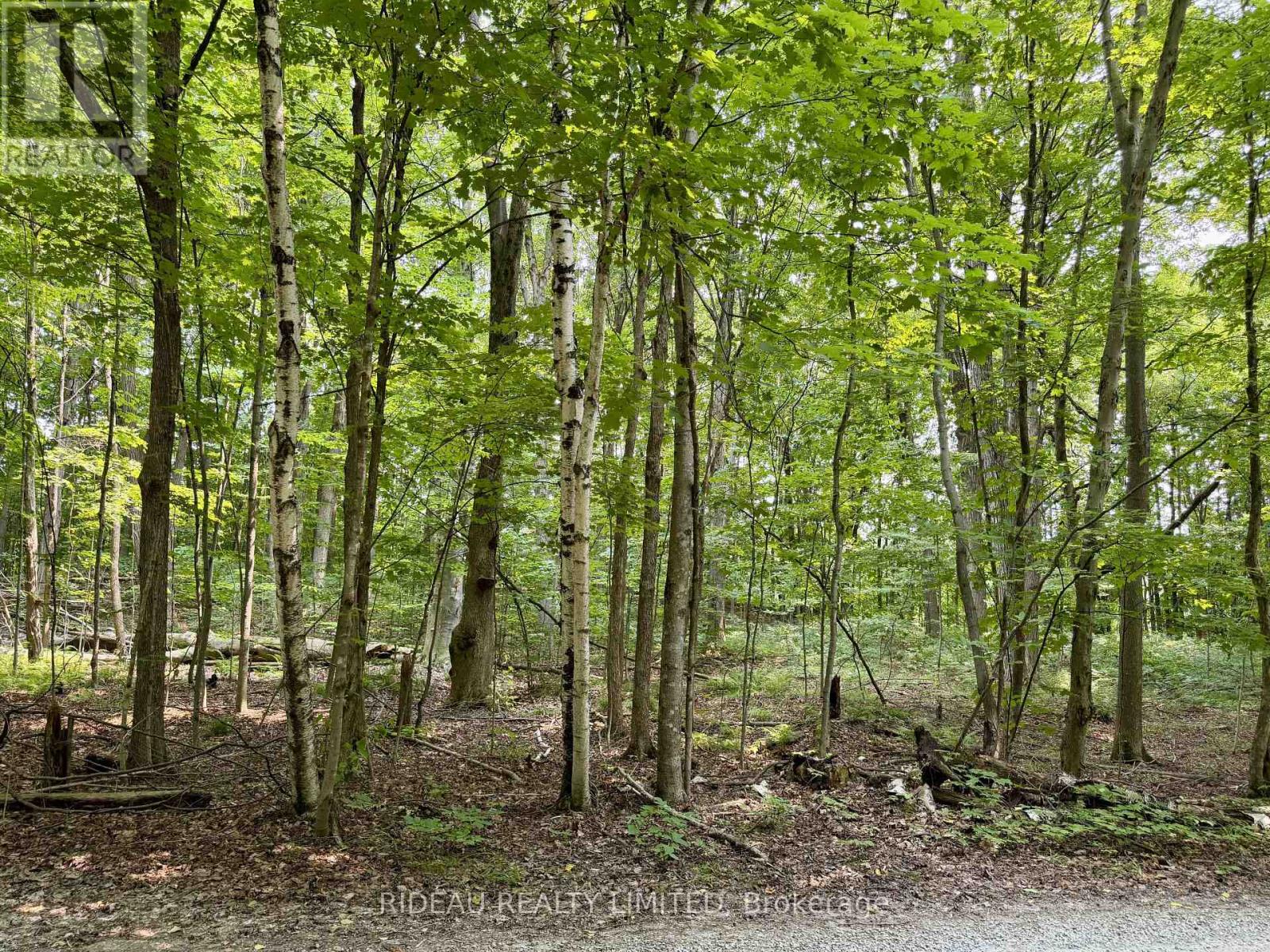 Pt 38 Cedar Sands Road Property Photo 1