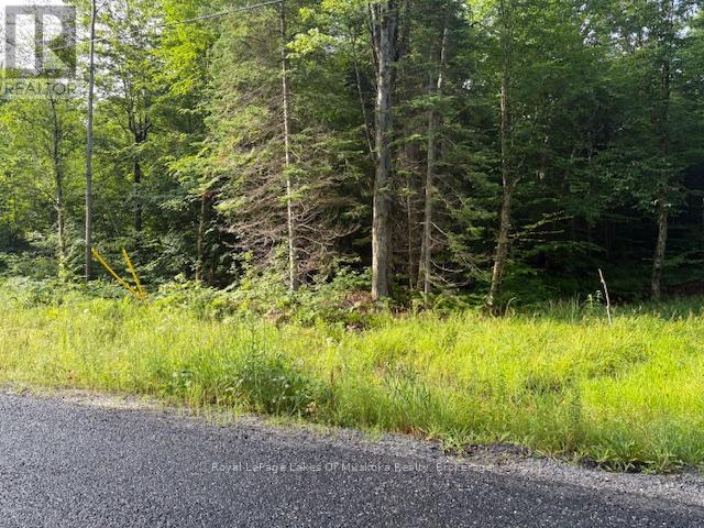 48 Summer Leigh Trail Property Photo 1