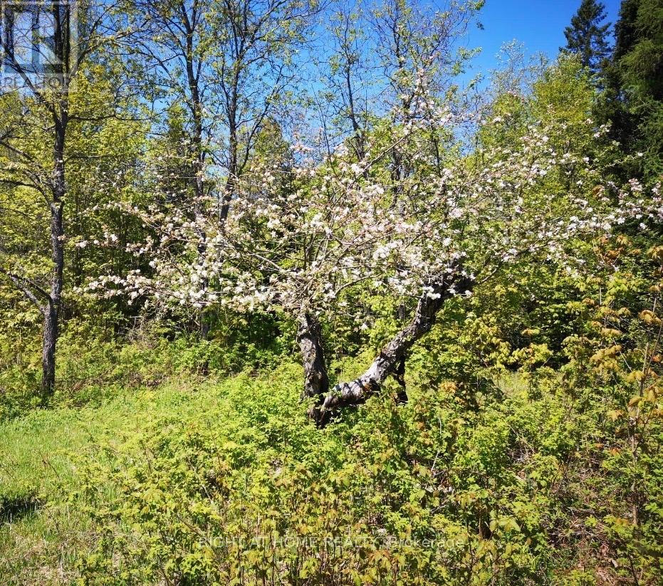 2087 Machar Strong Boundry Road Property Photo 4