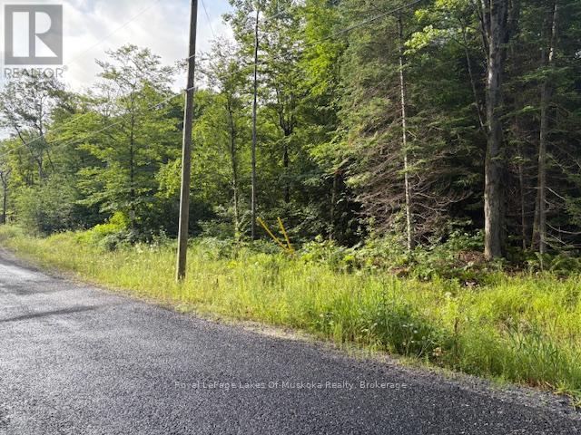 60 Summer Leigh Trail Property Photo 3