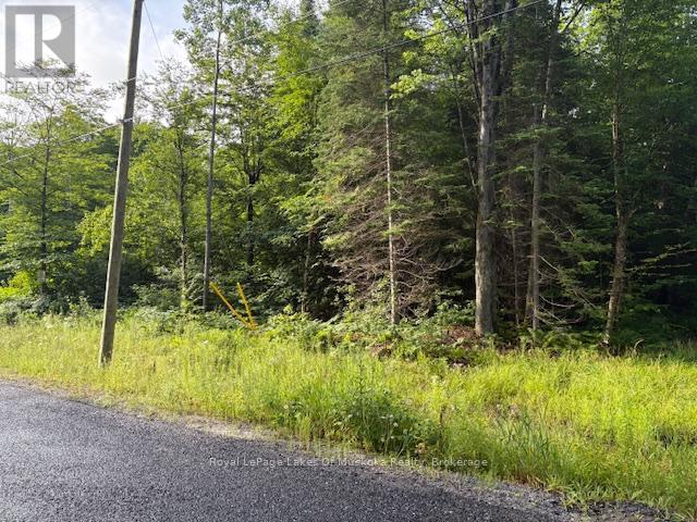 60 Summer Leigh Trail Property Photo 4