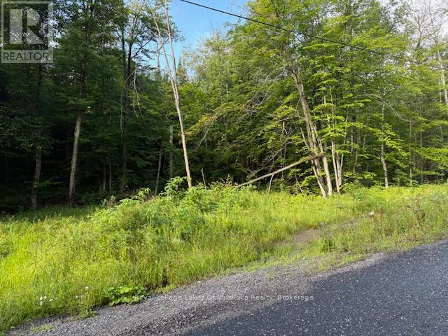 60 Summer Leigh Trail Property Photo 5