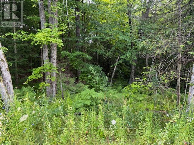 60 Summer Leigh Trail Property Photo 6