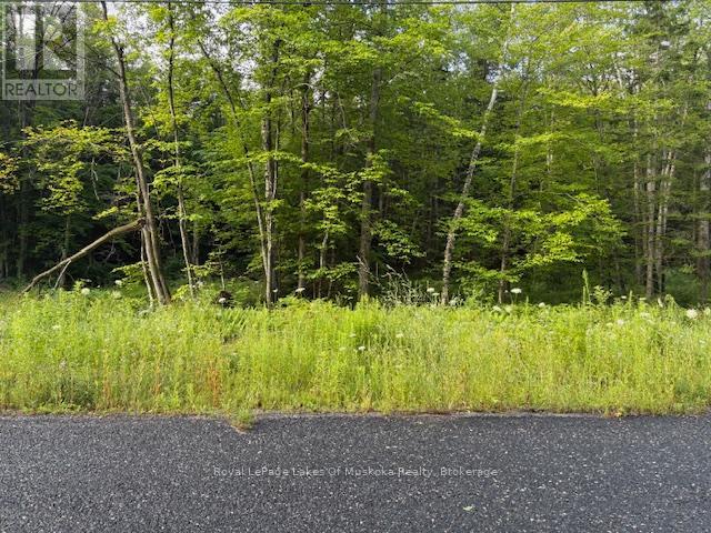 60 Summer Leigh Trail Property Photo 8