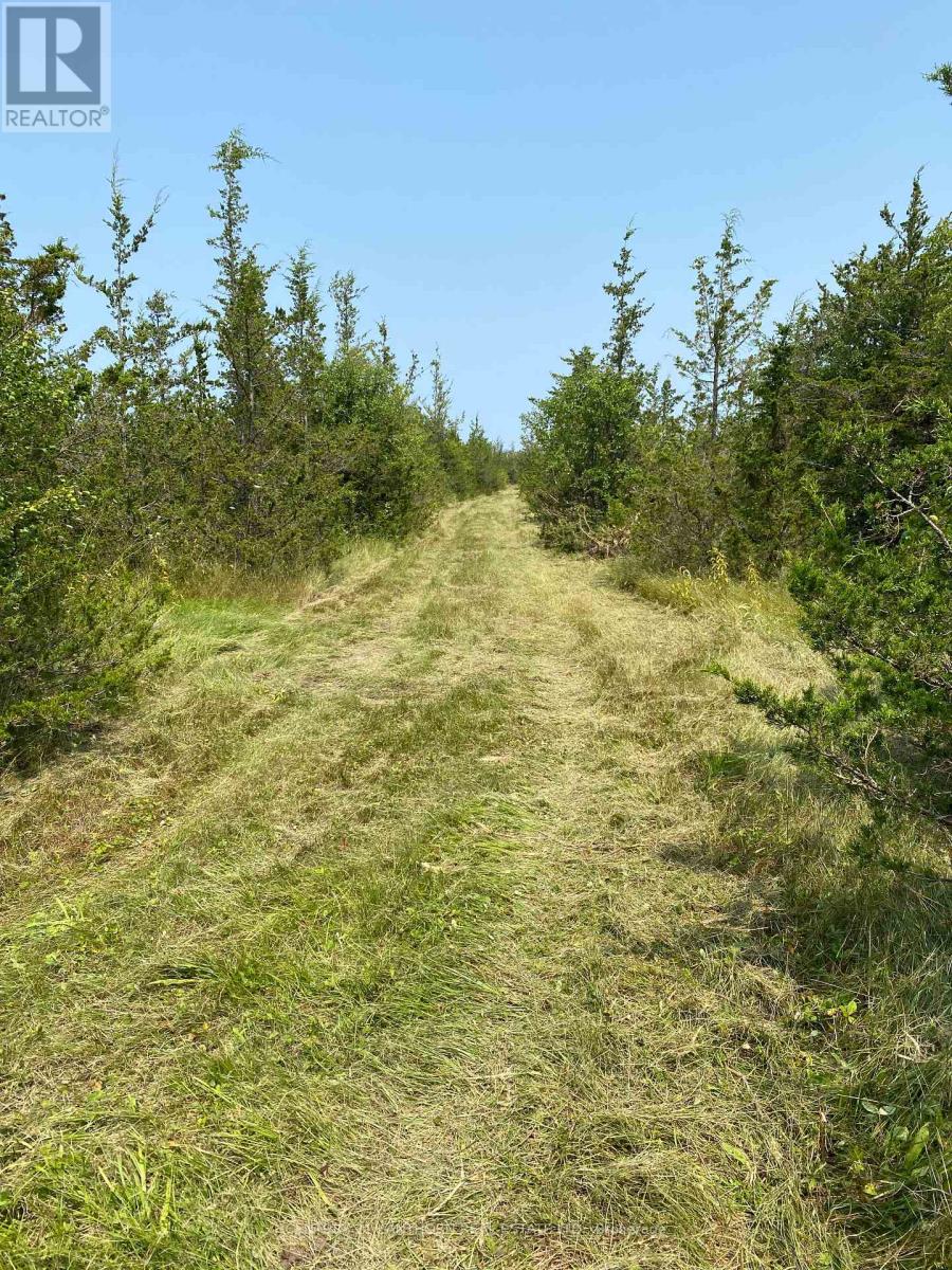 1677 County 8 Road Property Photo 37