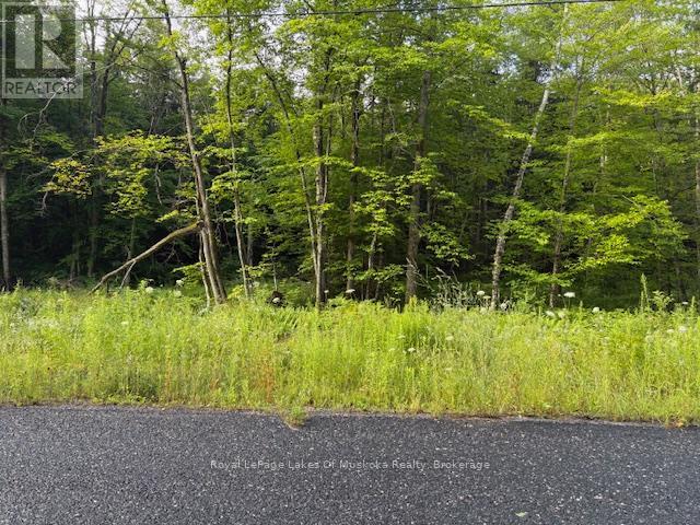 47 Summer Leigh Trail Property Photo 1