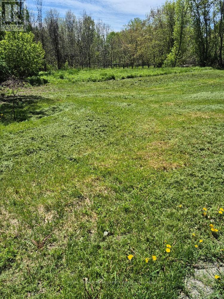58 Walt Street Property Photo 2