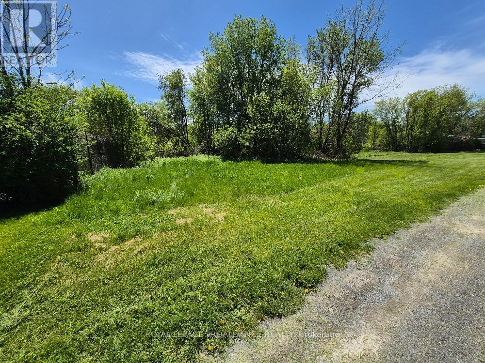 58 Walt Street Property Photo 4