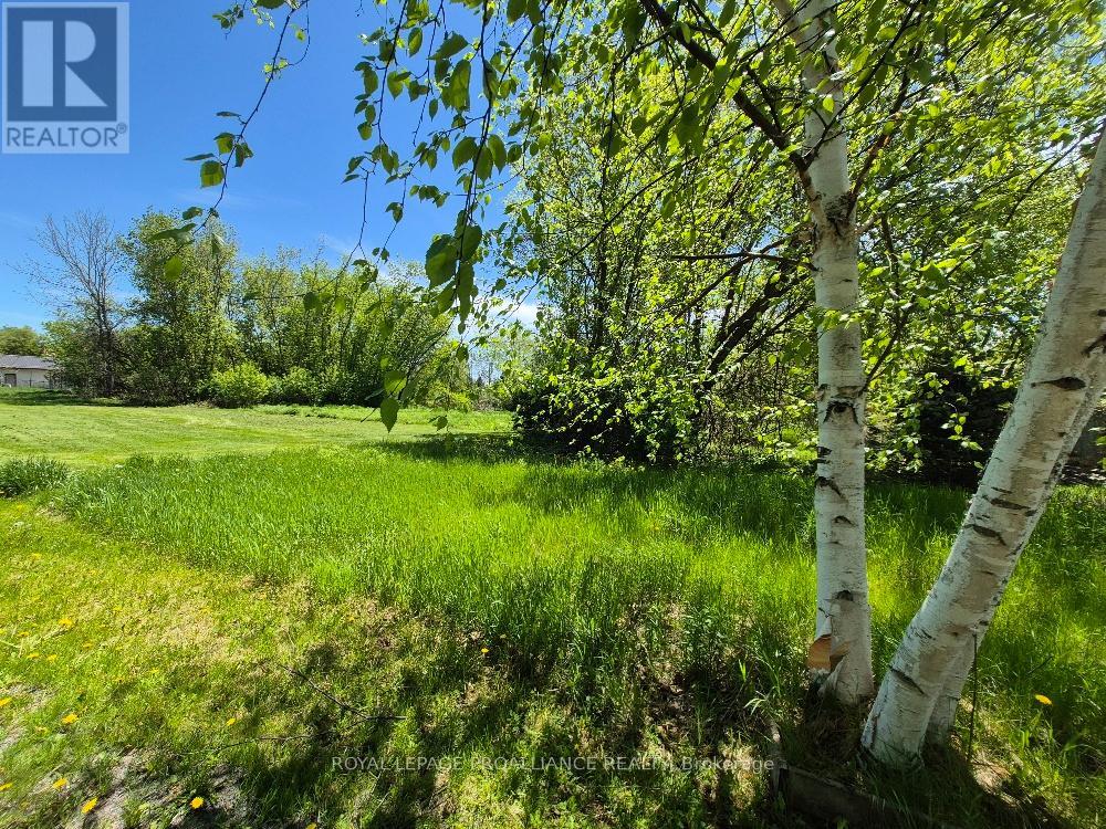 58 Walt Street Property Photo 5