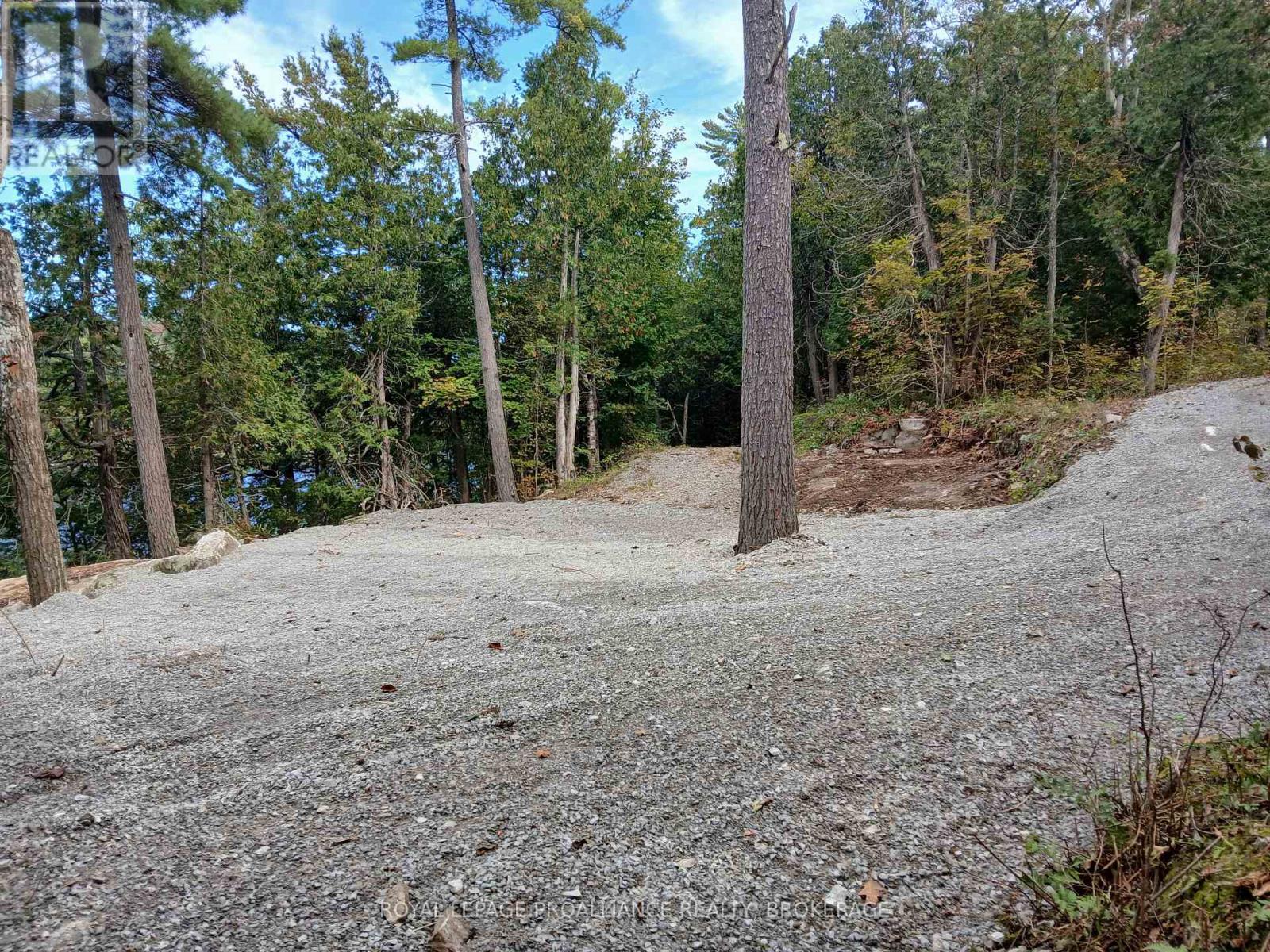 925 Lodge Lane Property Photo 4