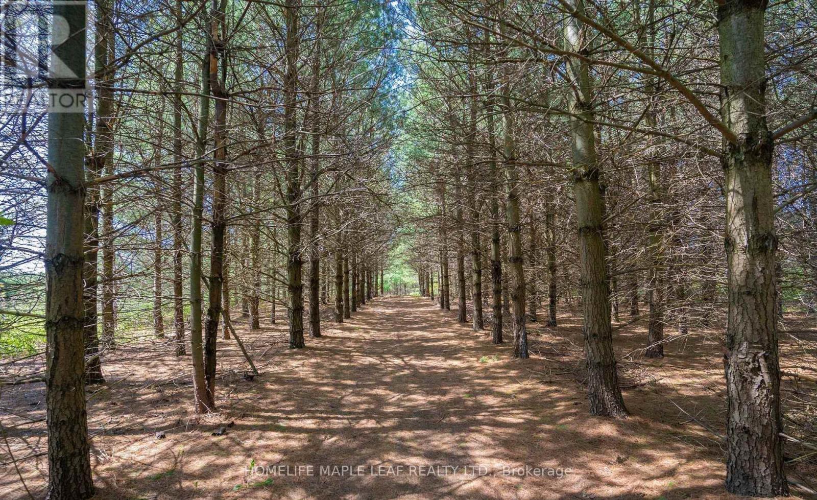 111440 11th Line Property Photo 25