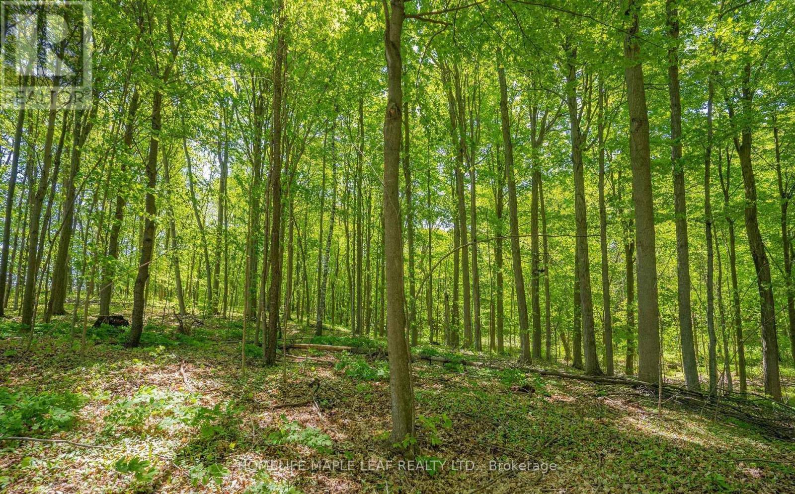 111440 11th Line Property Photo 27