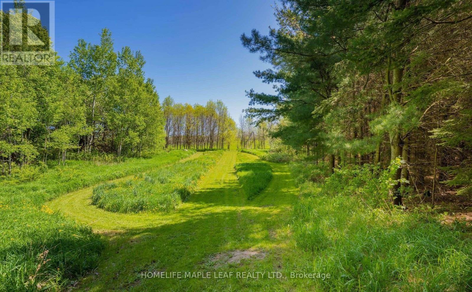 111440 11th Line Property Photo 28