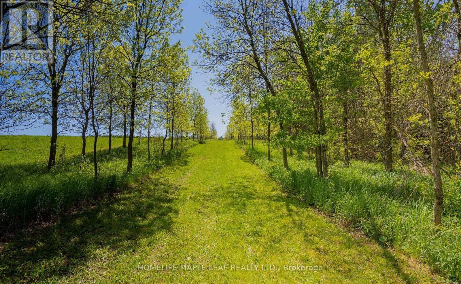 111440 11th Line Property Photo 29