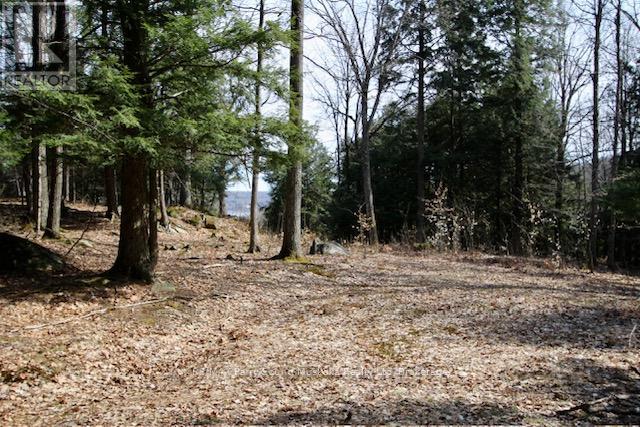 6 - 22 Gryffin Bluffs Lane Property Photo 1