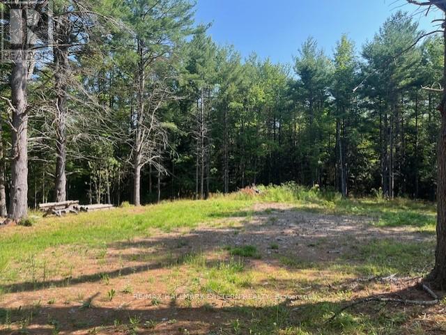942 Balmer Road Property Photo 4