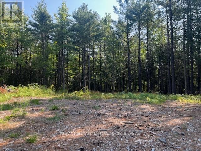 942 Balmer Road Property Photo 8