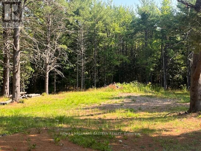 942 Balmer Road Property Photo 10