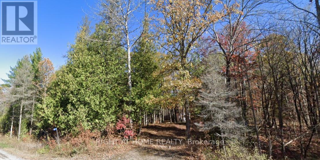 93 Mccleary Road Property Photo 1
