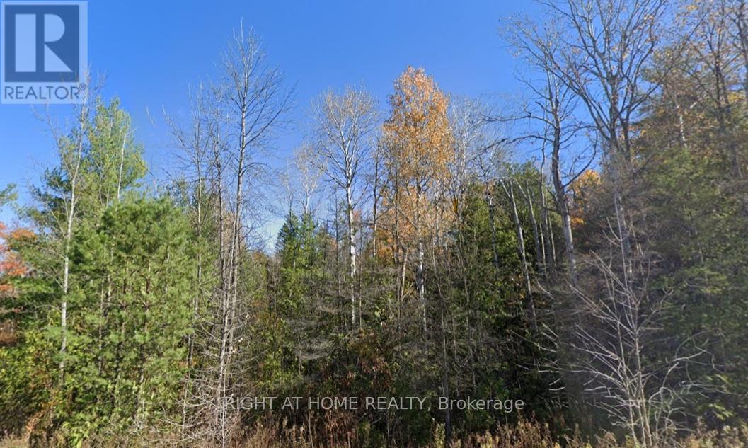 93 Mccleary Road Property Photo 2