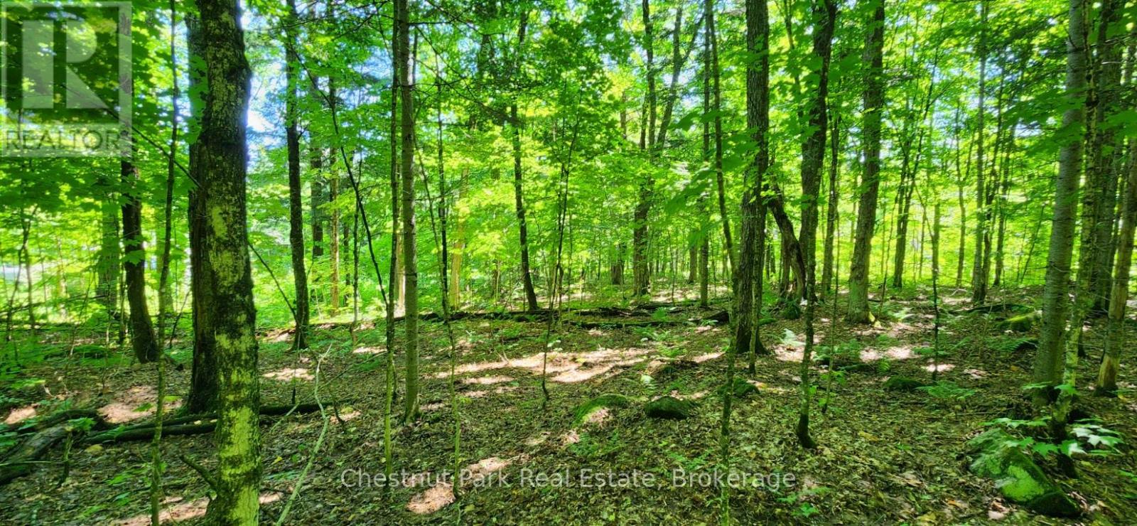 0 Skyline Drive Property Photo 1