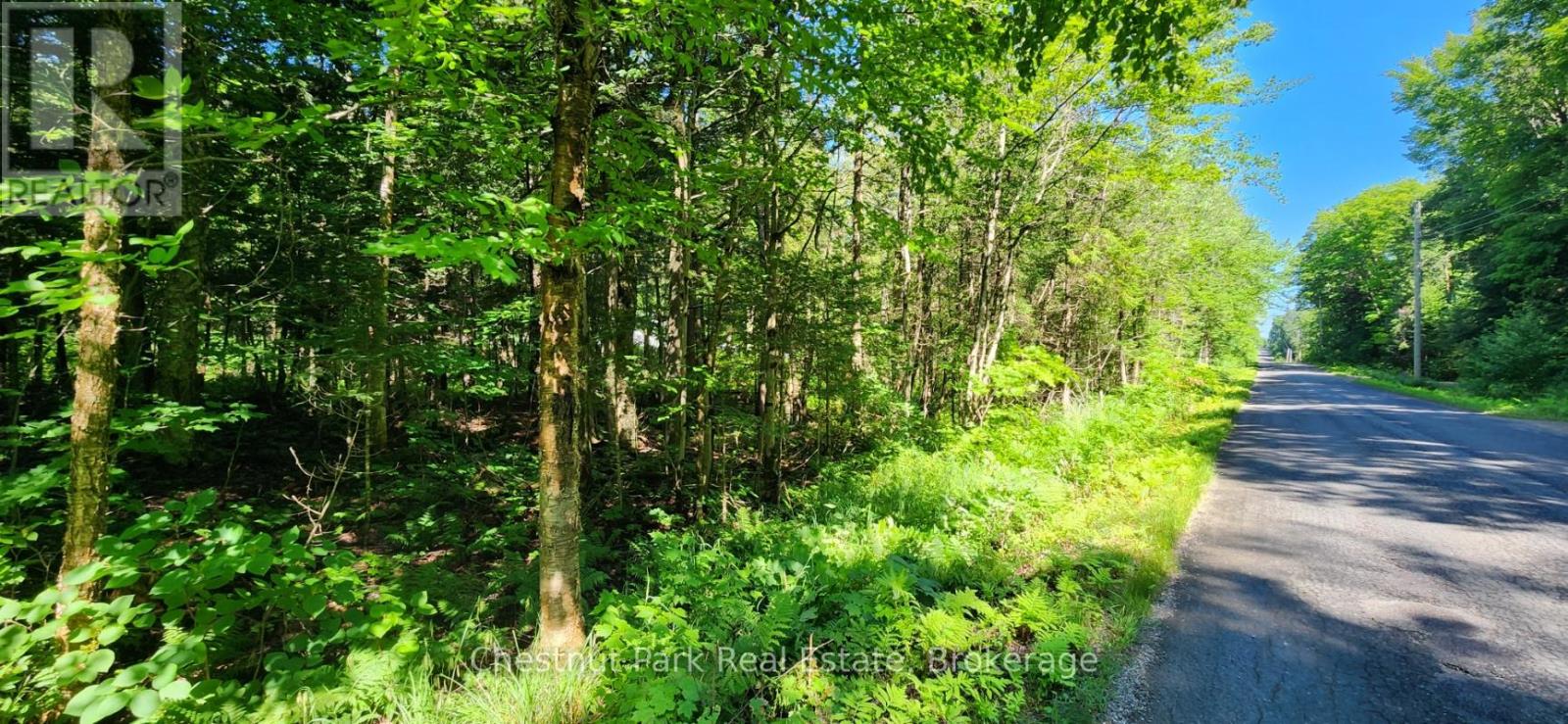 0 Skyline Drive Property Photo 3