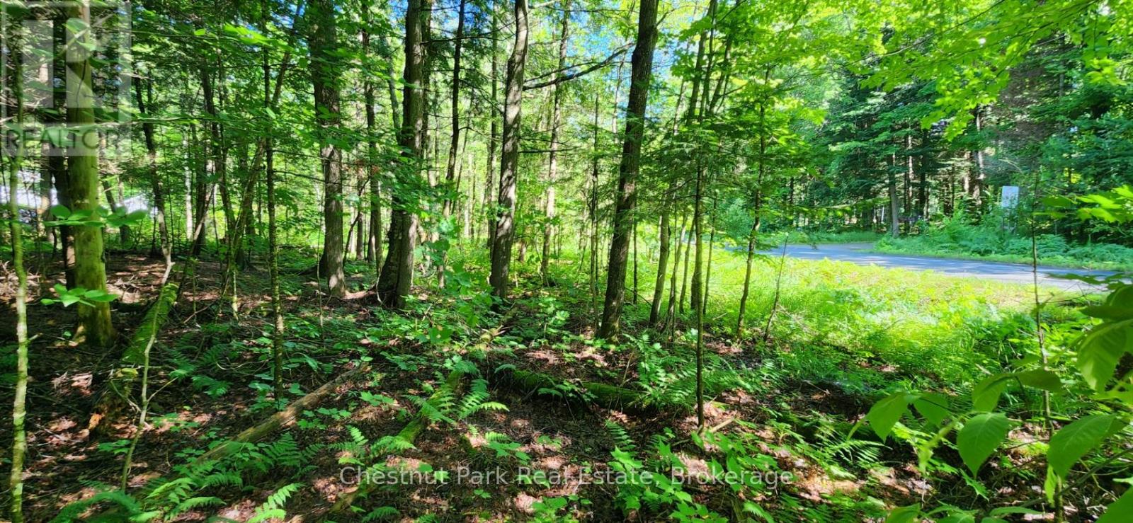 0 Skyline Drive Property Photo 4