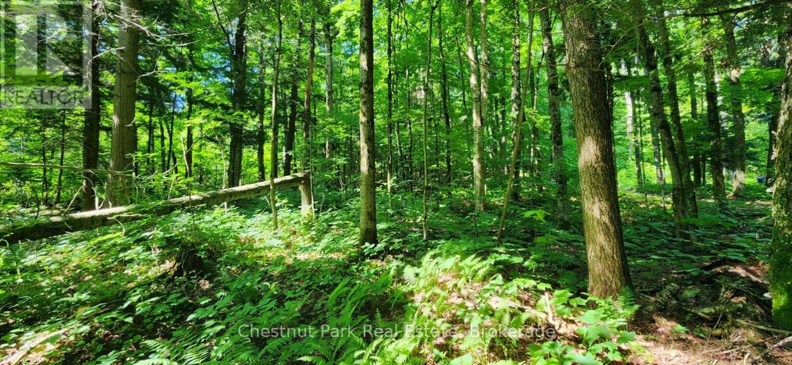 0 Skyline Drive Property Photo 5