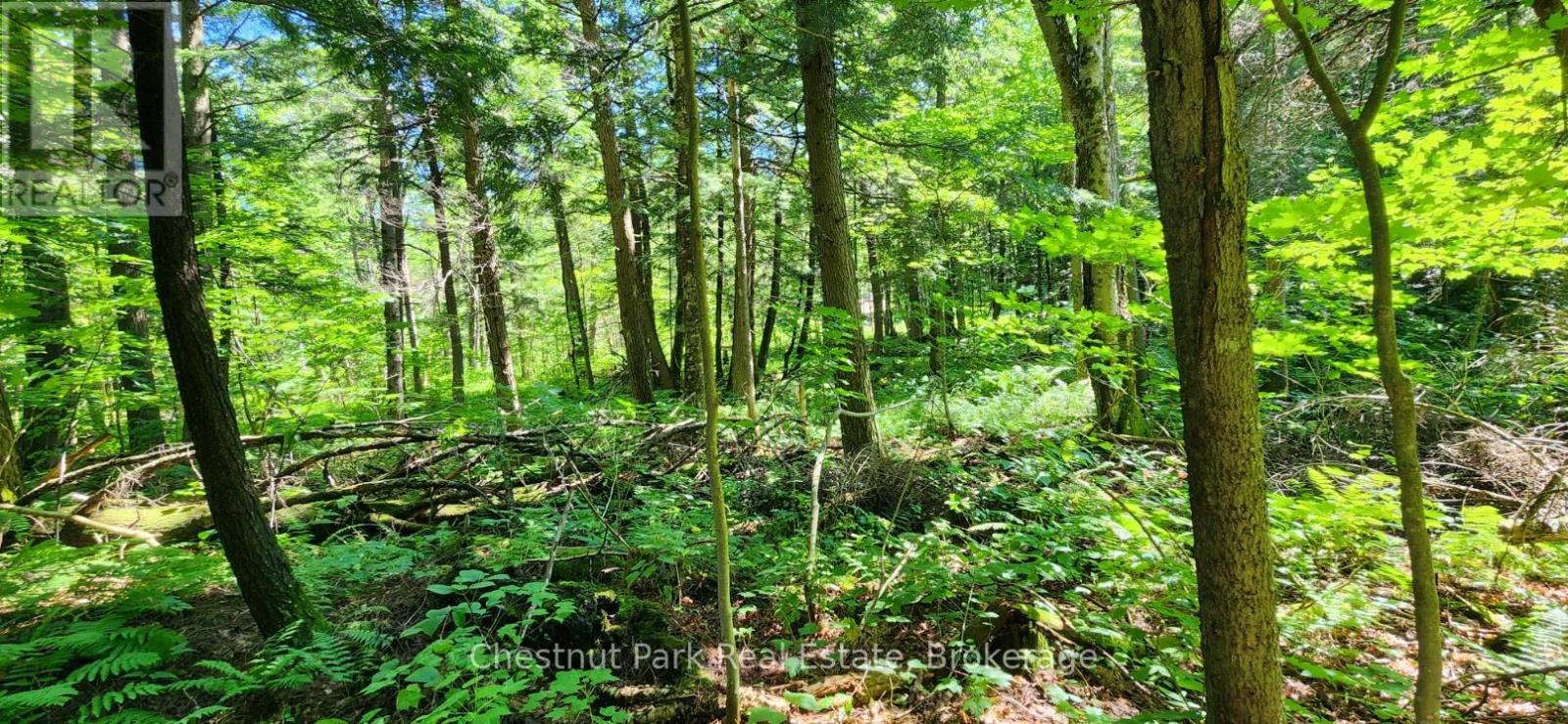 0 Skyline Drive Property Photo 6