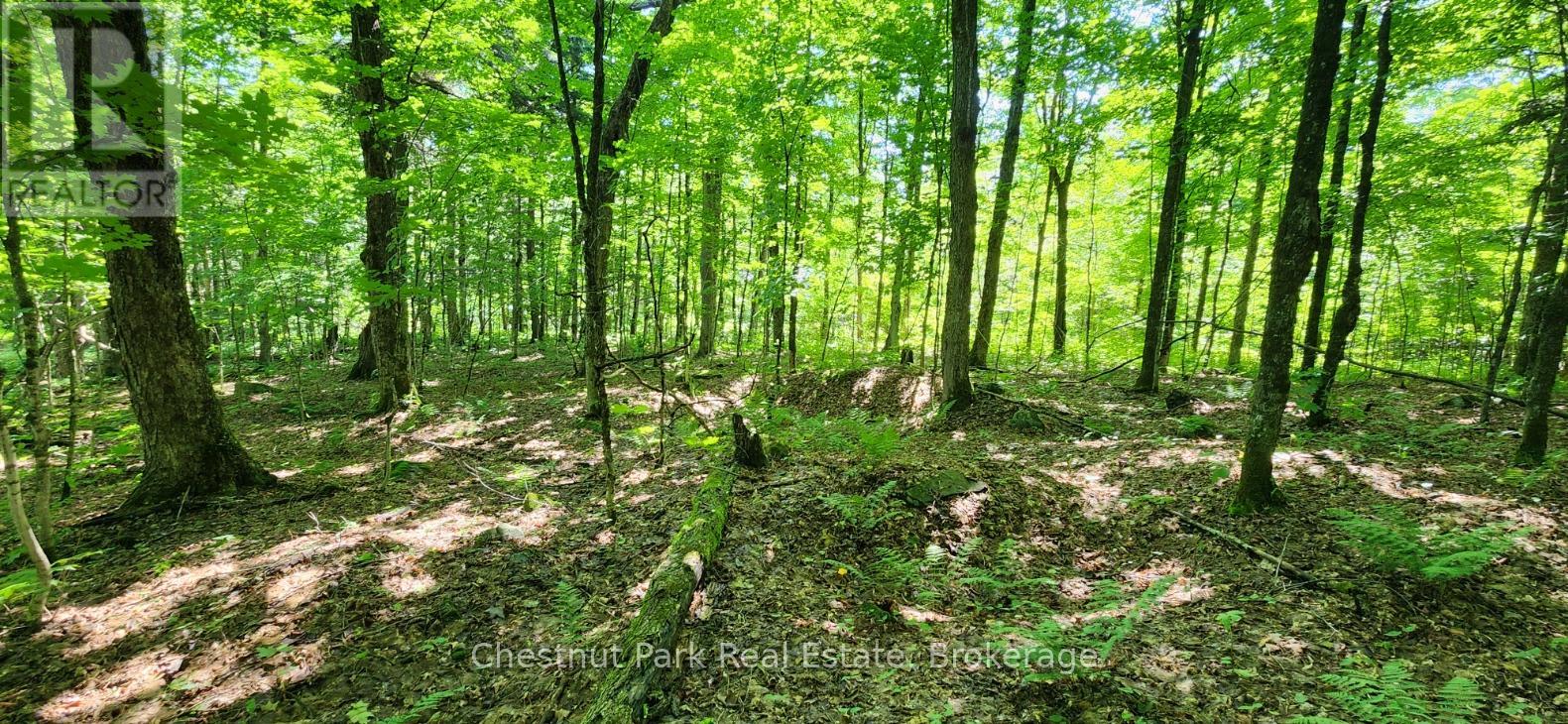 0 Skyline Drive Property Photo 7