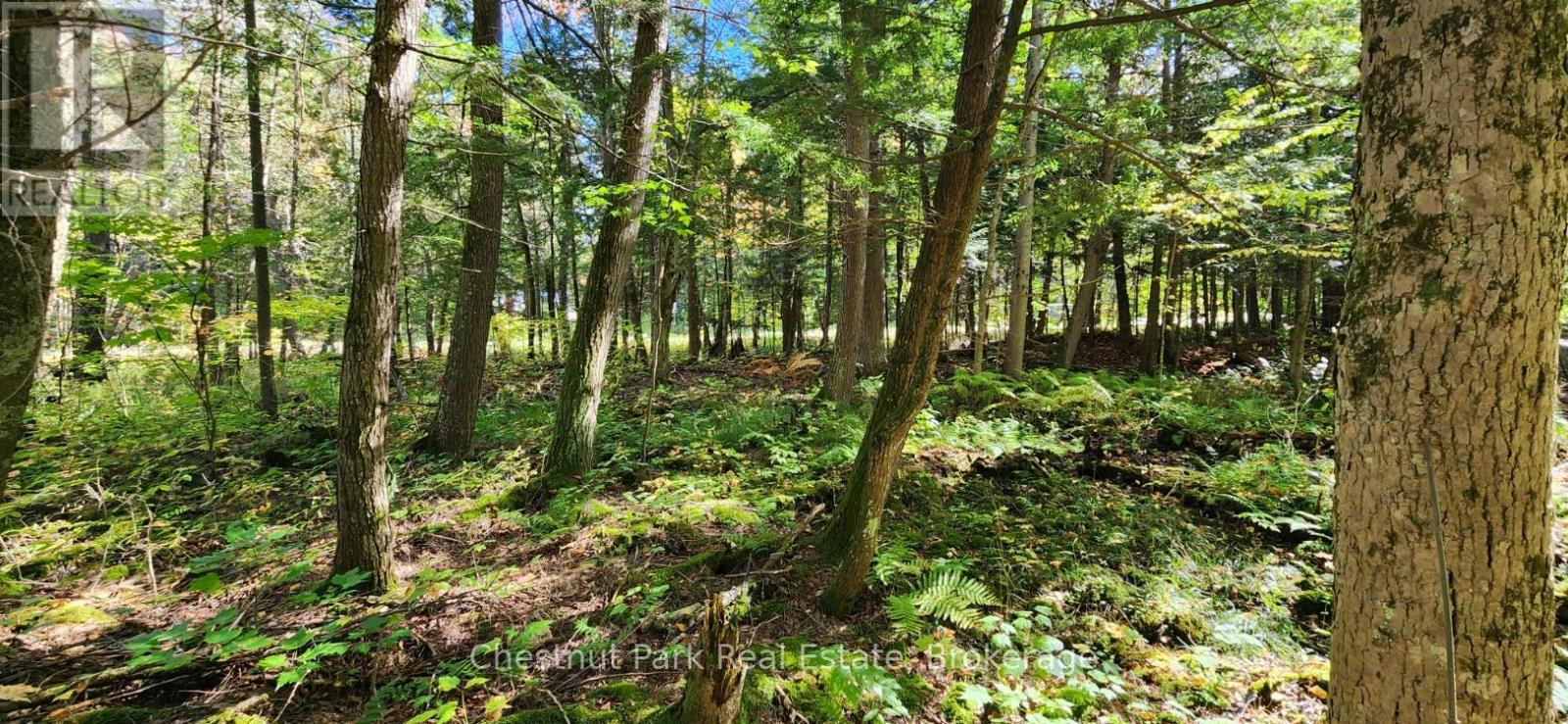 0 Skyline Drive Property Photo 9