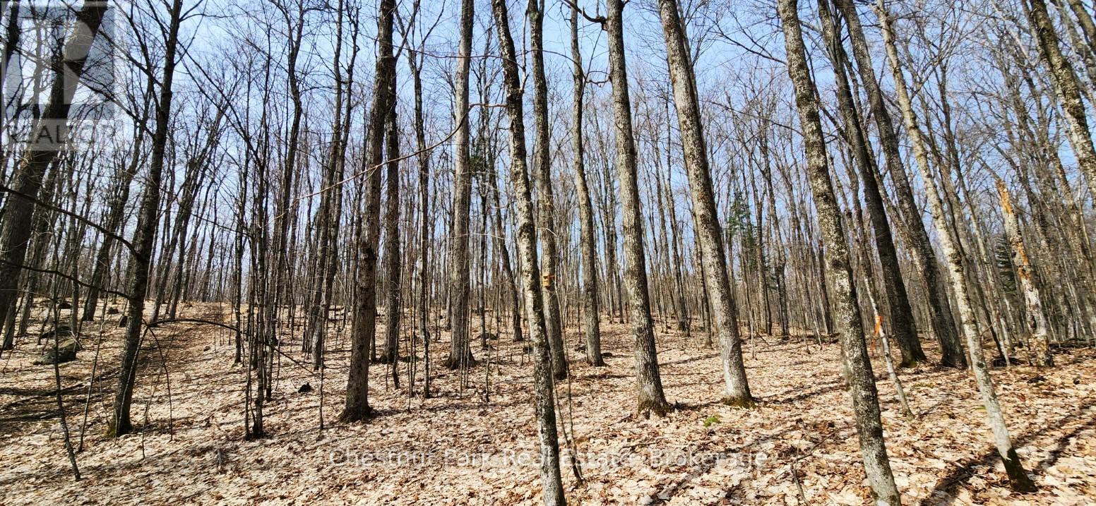 0 Skyline Drive Property Photo 12